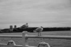 私ですか・・・？