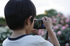 ママ、こっちだよ