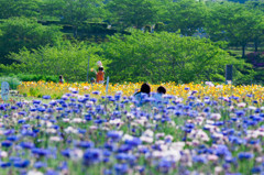 花と緑の中で