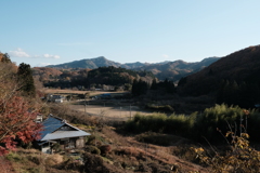 長閑