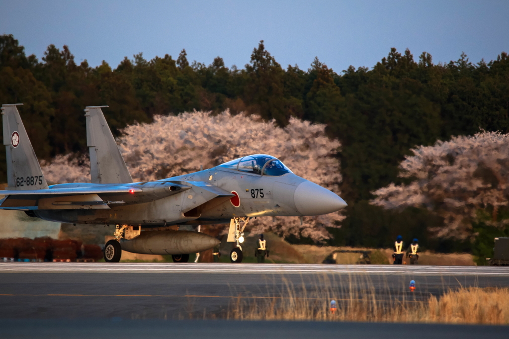 桜とイーグル