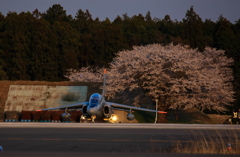 桜とT-4