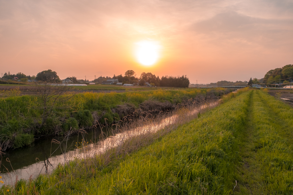 夕景