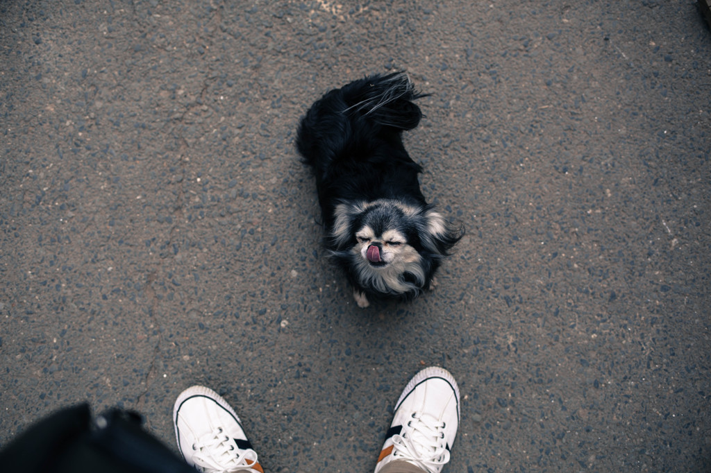 ペロリン