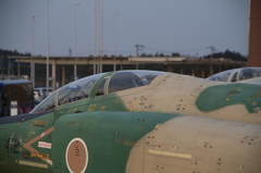 217A3743
