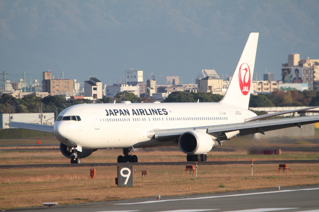 201511伊丹空港_JAL_B767