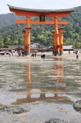 2013厳島神社3