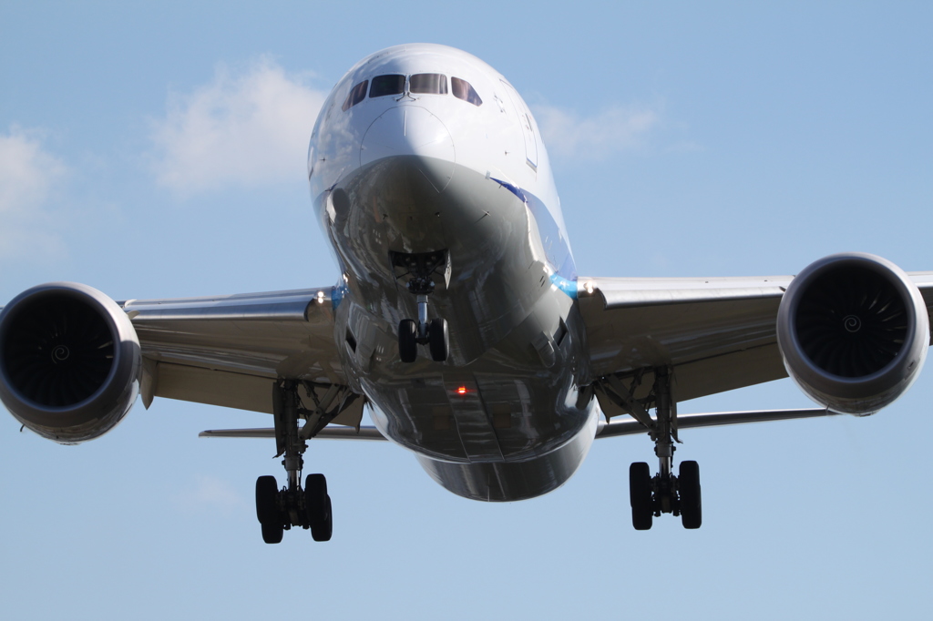201511伊丹空港_B787接近