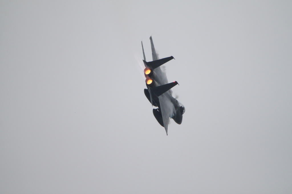 エアフェスタ2015_F15旋回