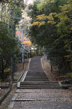 2016秋の参道