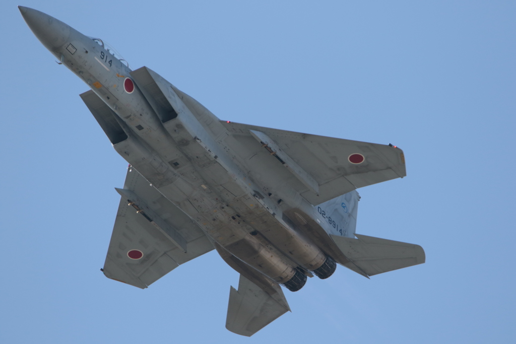 2016岐阜基地航空祭_F15-2