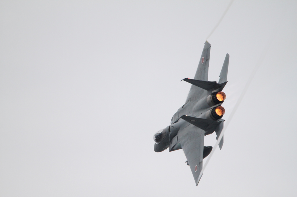 2015静浜航空祭_F-15_2