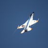 20151025岐阜基地航空祭F2急上昇