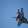 2014岐阜基地航空祭4_F15