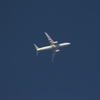 201512テレコンx2_B737