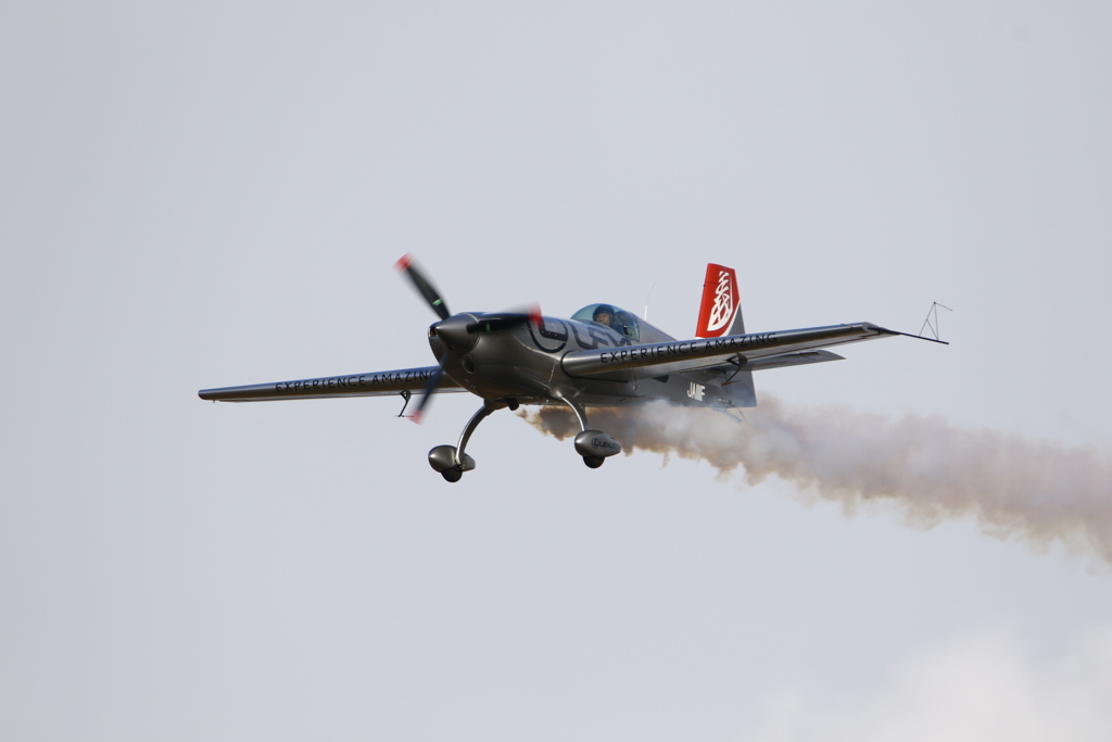 2017岐阜基地航空祭_EXTRA300_RTB1