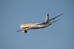 201511伊丹空港_B777_ANA夕暮れ2