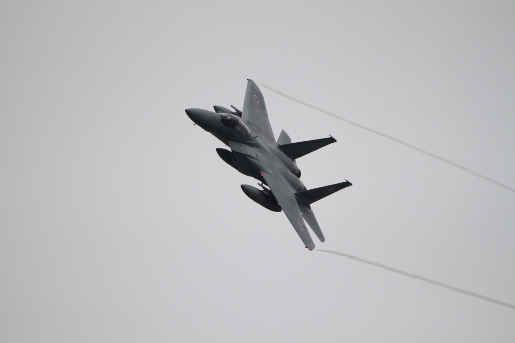 2015静浜航空祭_F15_5