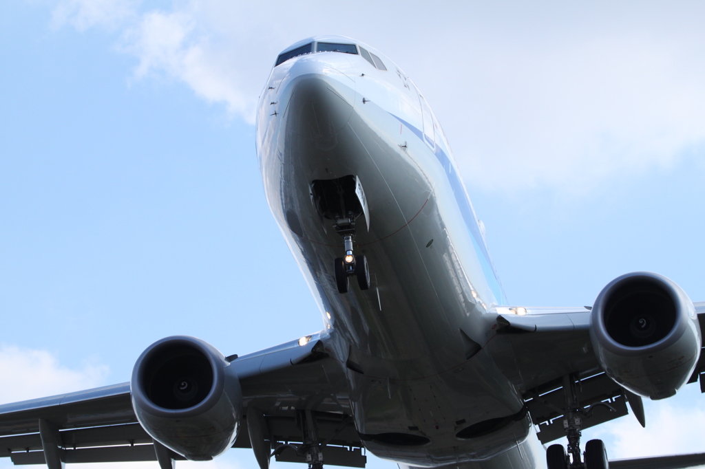 201511伊丹空港_B737アップ