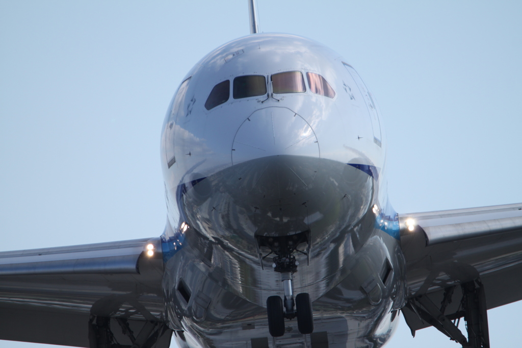 201511伊丹空港_B787アップ