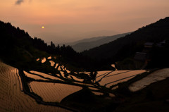 棚田