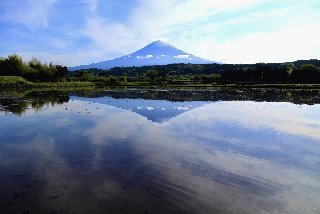 水はり