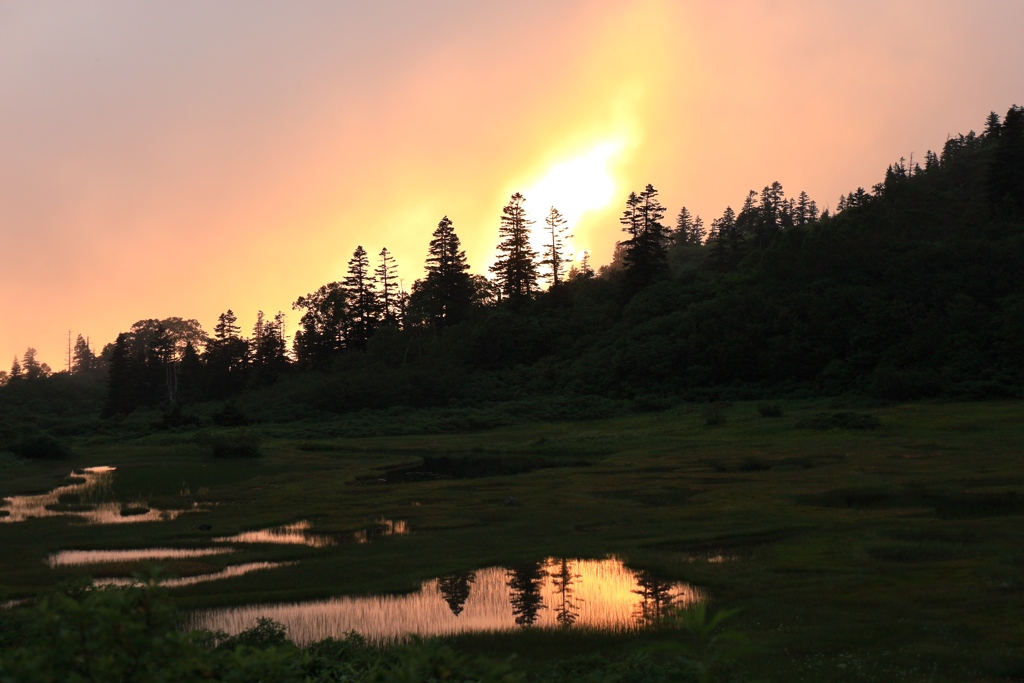暮れゆく湿原