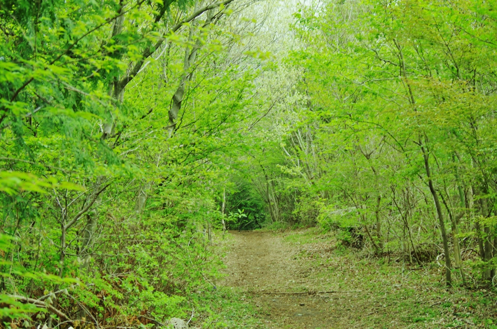 トンネル