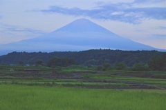 初夏の富士