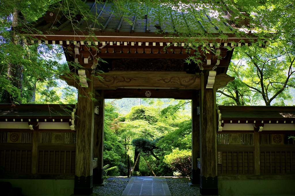 新緑の門