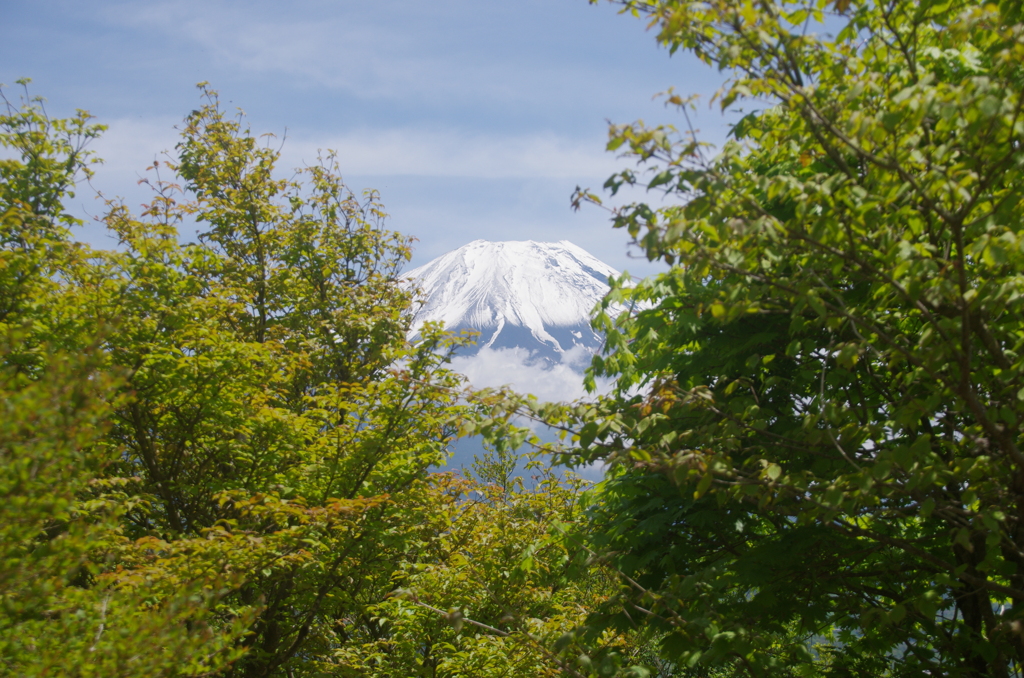 間から
