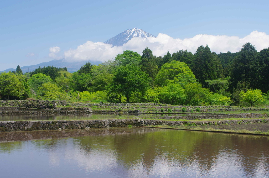 田園