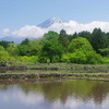 田園