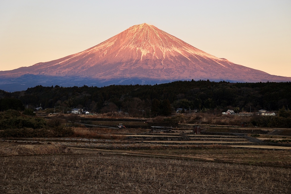 夕暮れ