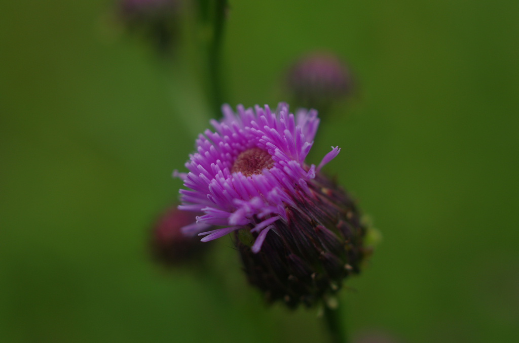 177BA6C6-374C-4474-93BB-D7C92FFC06F4