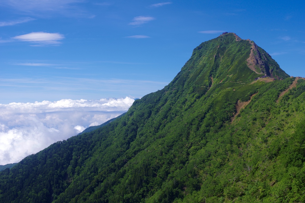 夏山赤岳