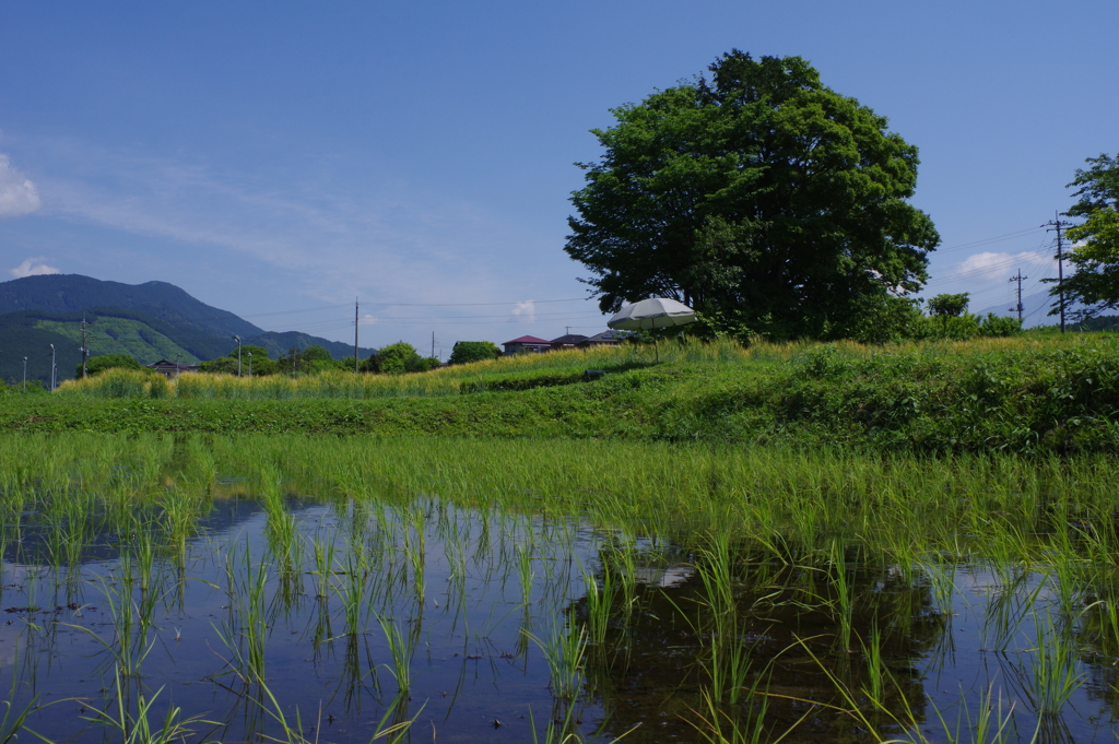 里山
