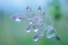 雨上がり