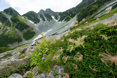 秋の気配