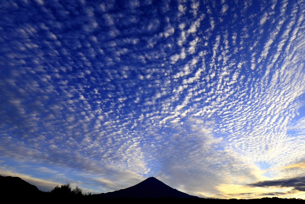 鱗雲と富士