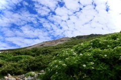 白山