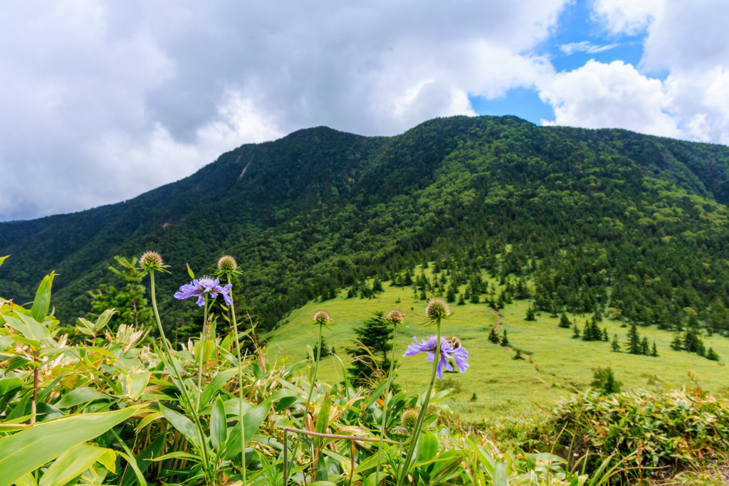 四阿山