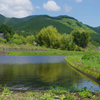 田植え前