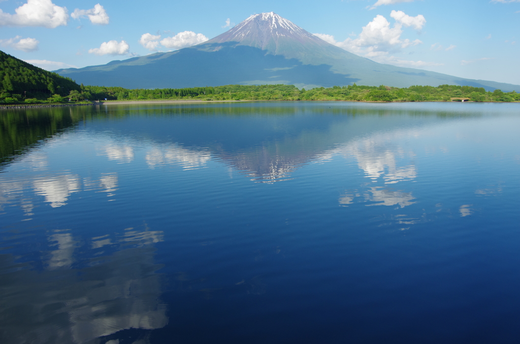 青い
