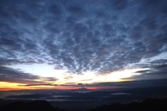 夜明けの鱗雲