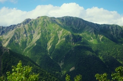 夏の荒川岳