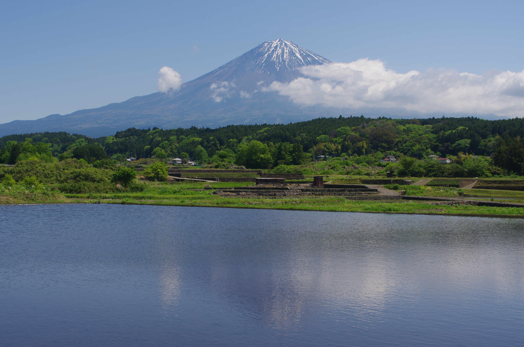 田植え前