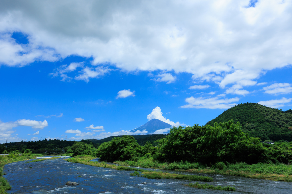 夏景色