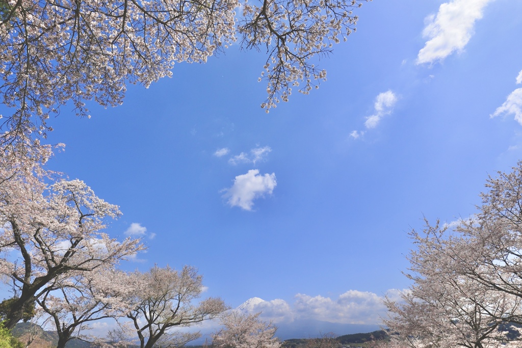 春の青空