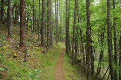 登山道